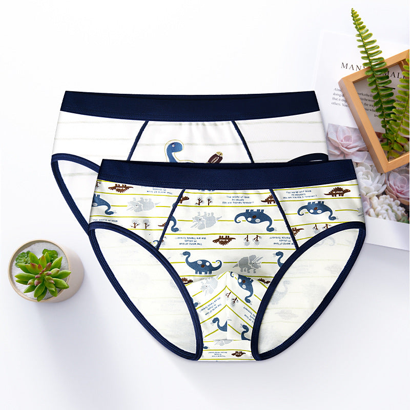 Boy's Cotton Underwear Boxer