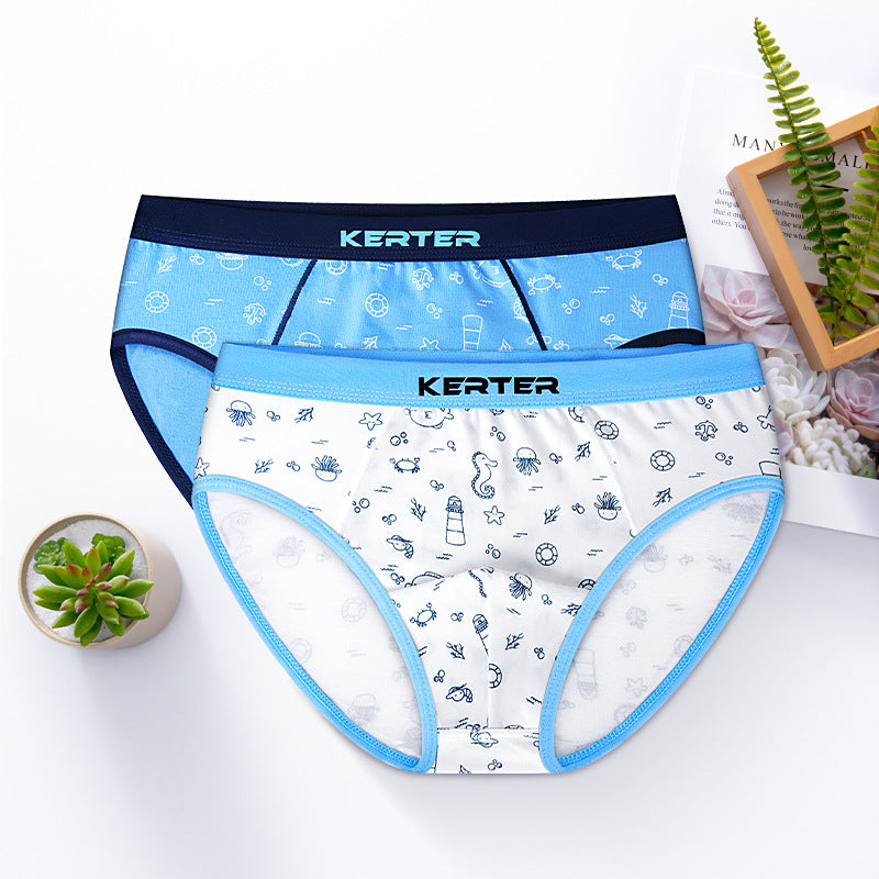 Boy's Cotton Underwear Boxer