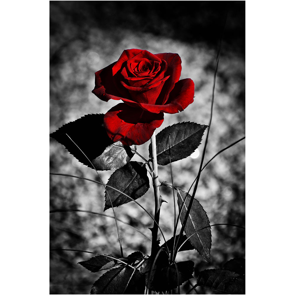 Modern Rose Flower Canvas Wall Art – Elegant Floral Painting Print, Contemporary Home Decor for Living Room, Bedroom & Office